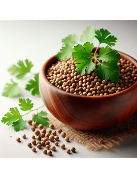 Coriander Seeds-2-sm
