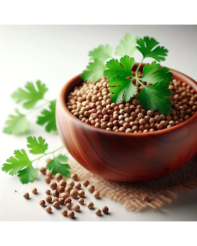 Coriander-1