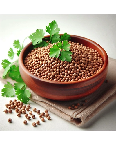 Coriander-12697561