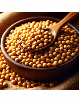 Soybean Seeds-2-sm