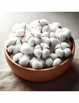 Cottonseed-1-sm