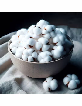 Cottonseed-2-sm