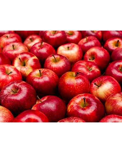 APPLE-APKU