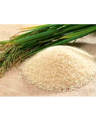RICE-R336N
