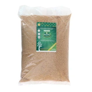 NaturoBell Sea Salt, 5 gm Pouch