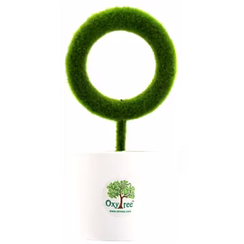 Oxytree Mini