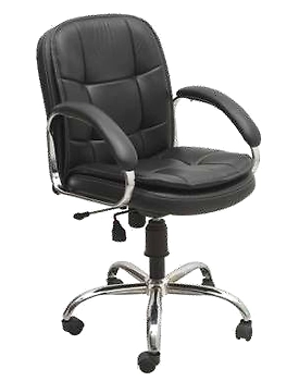 Eleganze Director Chair ED172