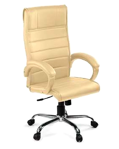 Eleganze Director Chair ED177-ED177