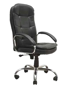 Eleganze Director Chair ED171