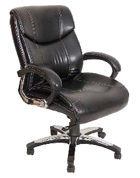 Eleganze Director Chair ED182