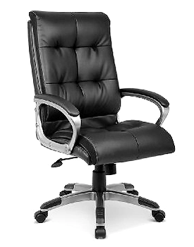 Eleganze Director Chair ED155