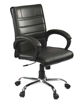 Eleganze Director Chair ED178