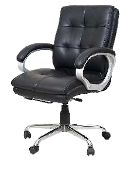 Eleganze Director Chair ED156