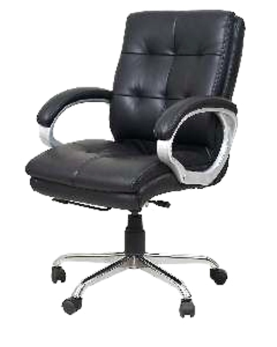 Eleganze Director Chair ED156-ED156
