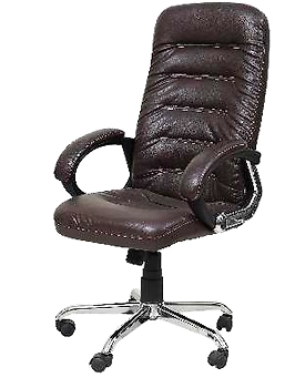 Eleganze Director Chair ED174