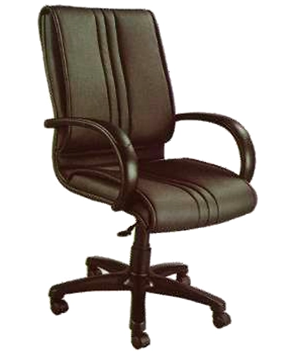 Eleganze Director Chair ED166-ED166