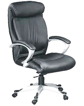 Eleganze Director Chair ED157