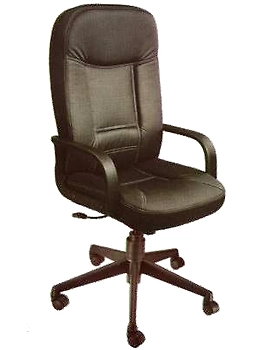 Eleganze Director Chair ED168