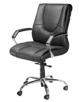 Eleganze Director Chair ED162