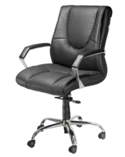 Eleganze Director Chair ED162-ED162