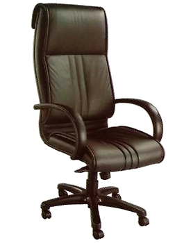 Eleganze Director Chair ED165