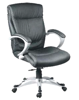 Eleganze Director Chair ED158