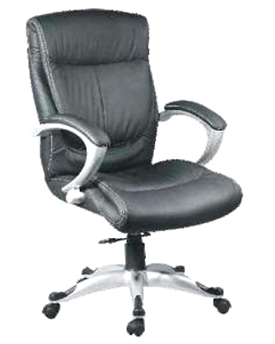 Eleganze Director Chair ED158-ED158
