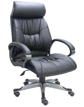 Eleganze Director Chair ED153