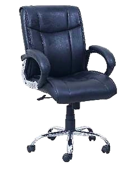 Eleganze Director Chair ED180