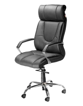 Eleganze Director Chair ED161