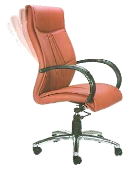 Eleganze Director Chair ED159