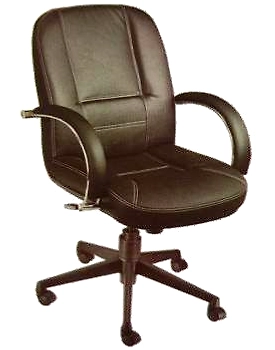 Eleganze Director Chair ED169