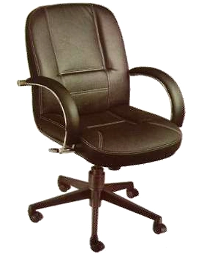 Eleganze Director Chair ED169-ED169