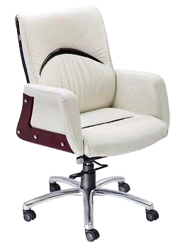 Eleganze Director Chair ED141