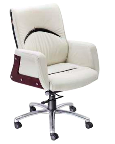 Eleganze Director Chair ED141-ED141