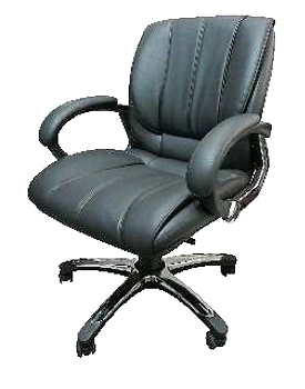 Eleganze Director Chair ED144