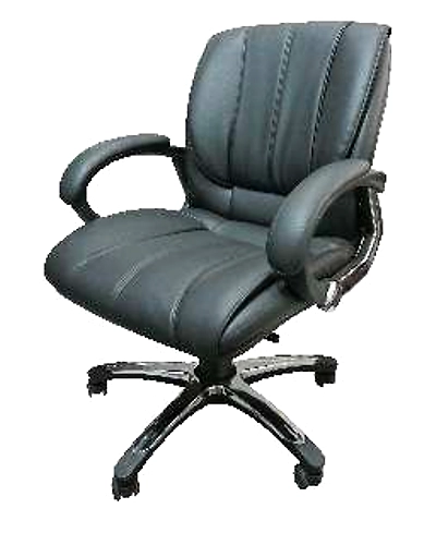Eleganze Director Chair ED144-ED144