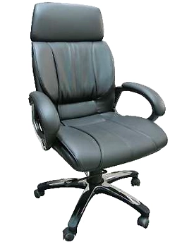 Eleganze Director Chair ED143