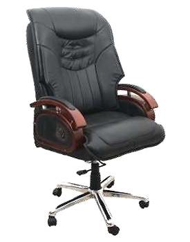 Eleganze Director Chair ED128