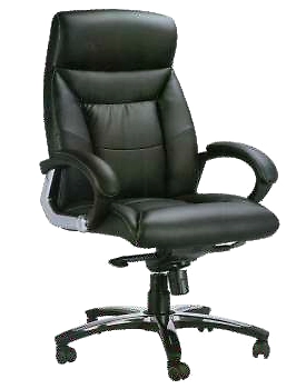 Eleganze Director Chair ED149