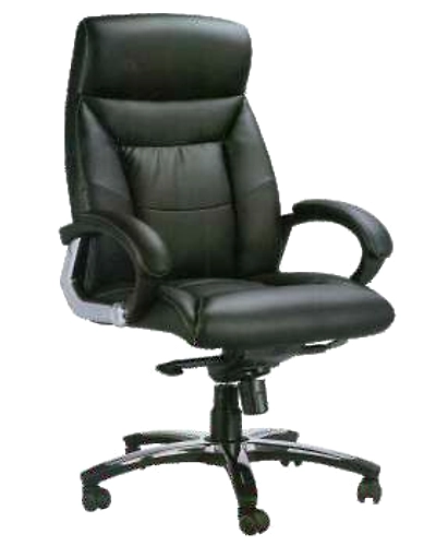 Eleganze Director Chair ED149-ED149