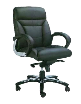Eleganze Director Chair ED150