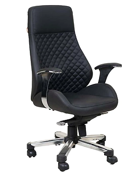 Eleganze Director Chair ED139