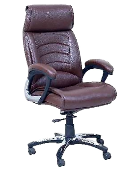 Eleganze Director Chair ED135