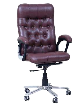 Eleganze Director Chair ED137