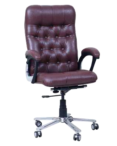 Eleganze Director Chair ED137-ED137