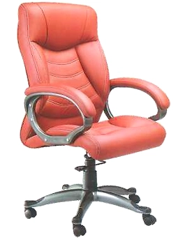 Eleganze Director Chair ED145
