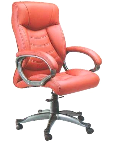 Eleganze Director Chair ED145-ED145