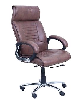 Eleganze Director Chair ED133