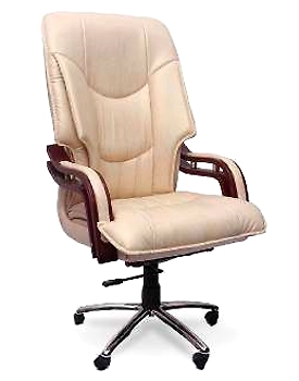 Eleganze Director Chair ED129